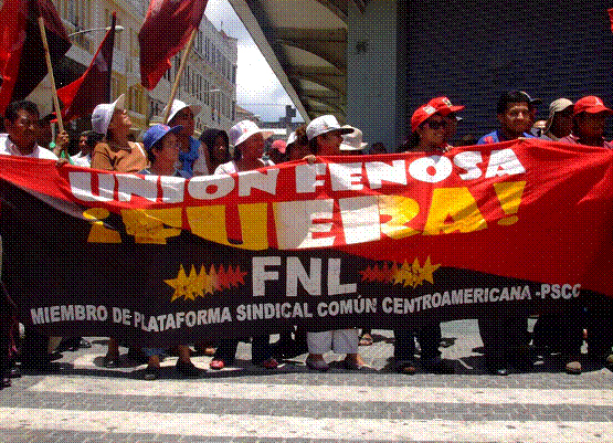 jpg_foto_petita_p20_encapcalament.jpg