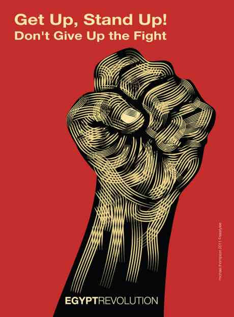 jpg_460_0___30_0_0_0_0_0_egyptianrevolution.jpg