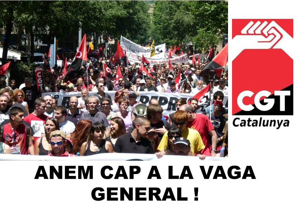 anemcapalavagageneralcgtcat.jpg