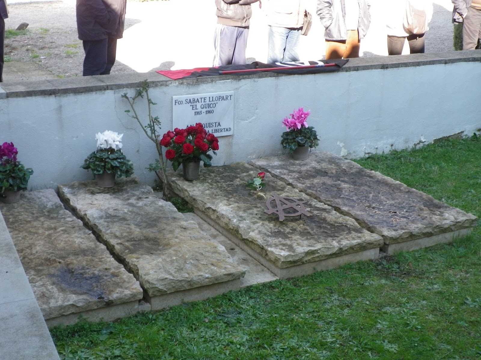 IMGP1573.jpg