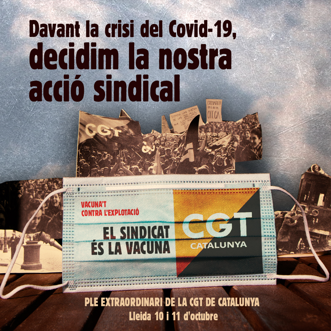 cartell_instagram.jpg
